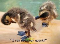 Quack.jpg