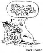cat food.jpg