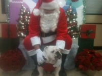 Winston & Santa.jpg