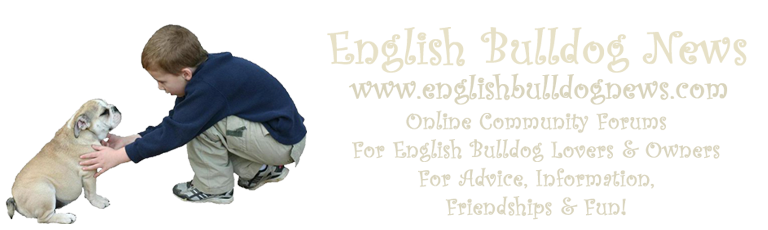 Visit English Bulldog News Forums for Information, Friendship & Fun!