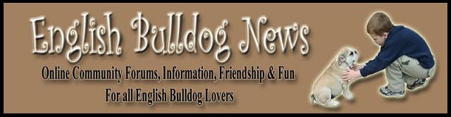 English Bulldog News ~Forums~ - Powered by vBulletin
