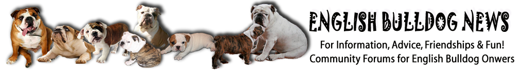 Visit English Bulldog News Forums for Information, Friendship & Fun!