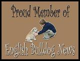 Visit English Bulldog News Forums for Information, Friendship & Fun!