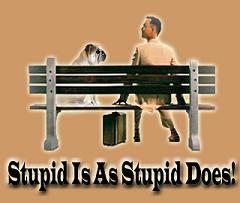 Stupidity Award