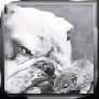Lindathedogsmaid's Avatar