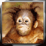 Cooper11's Avatar