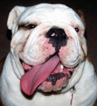 Gertie's Mom's Avatar