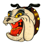 Forum Contains No New Posts