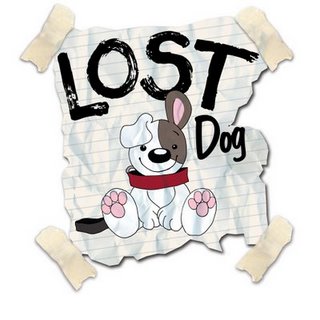 Forum Contains No New Posts
