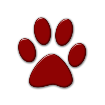 Forum Contains No New Posts