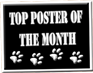 Forum Contains No New Posts