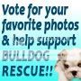 vote_support_rescue_90x90.jpg