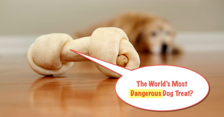 Rawhide-Dangers-Dogs.jpg