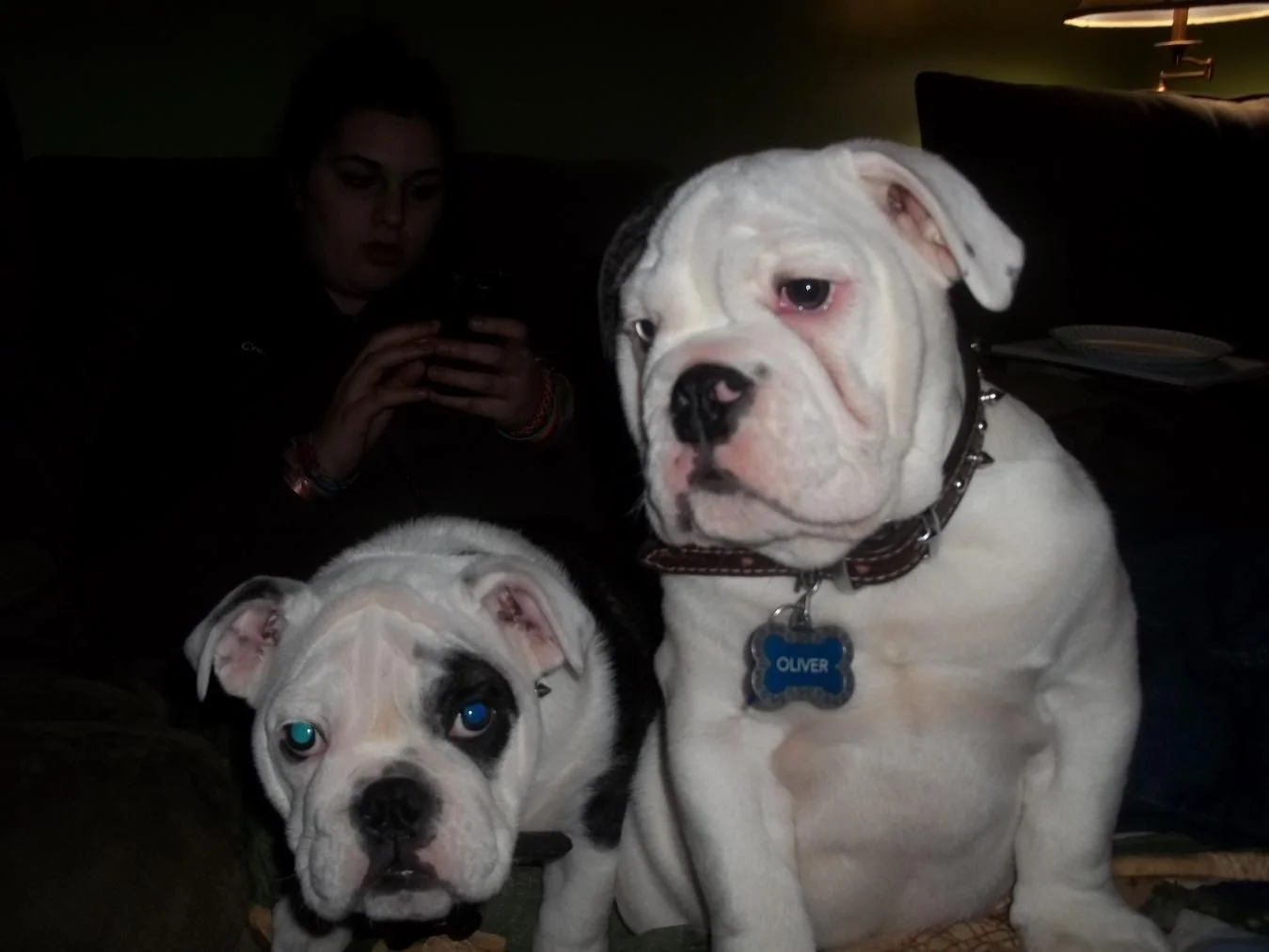 100_0297.webp