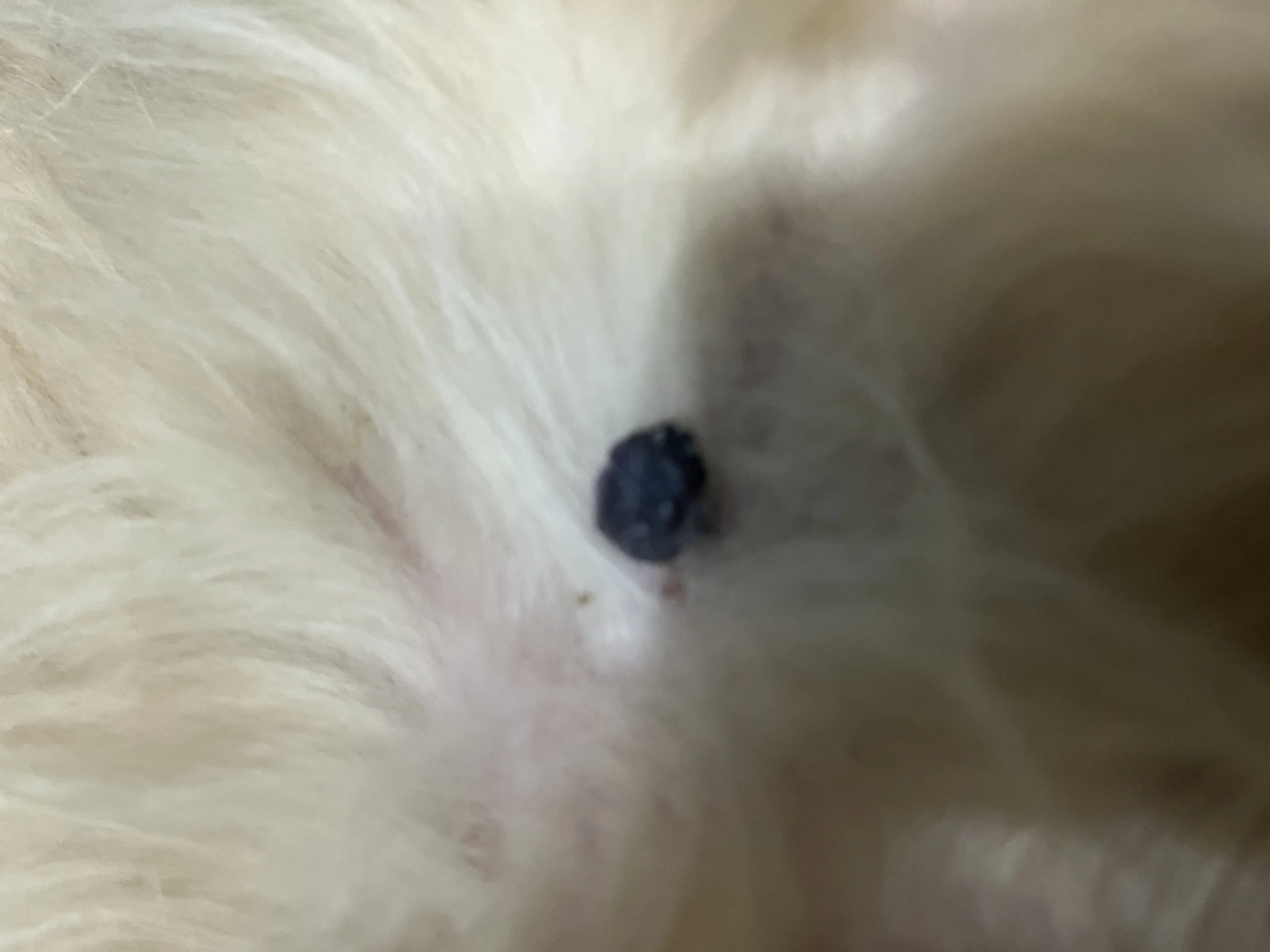 1675754101220.webp
