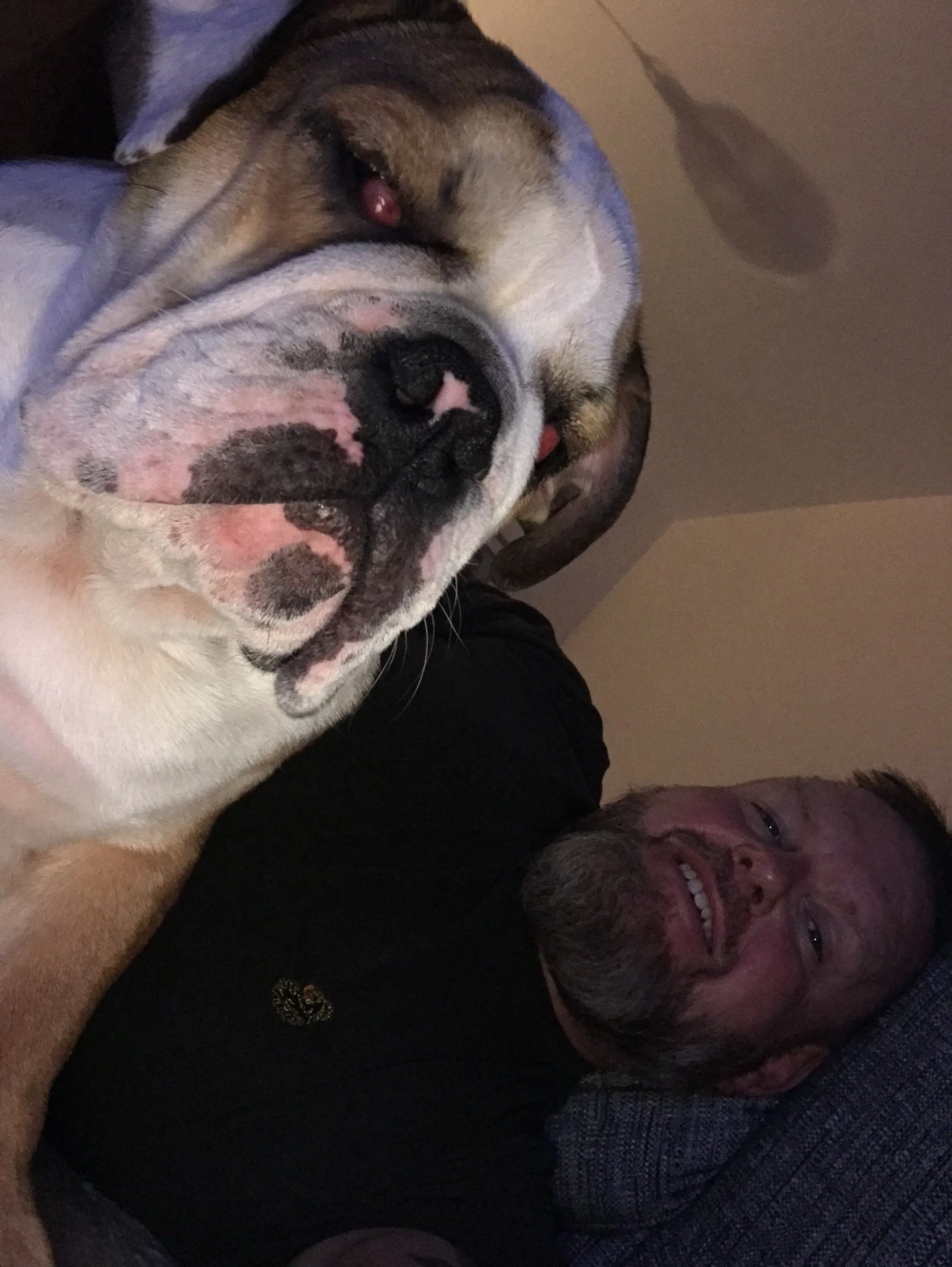 Cherry Eye opp
