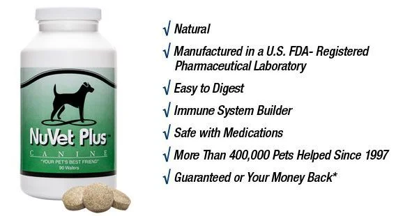 bottle_wbullets_01_r1.webp
