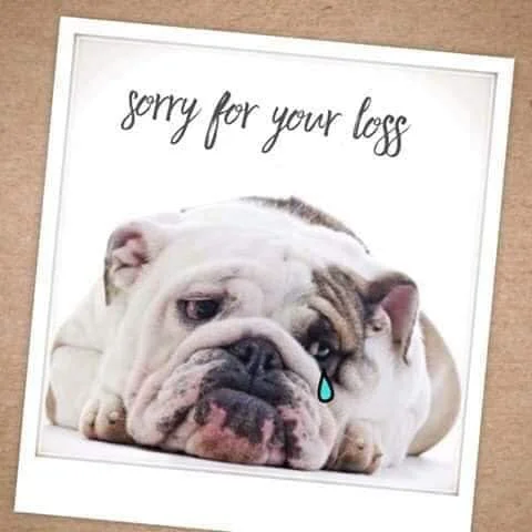 Bulldogs 33.webp