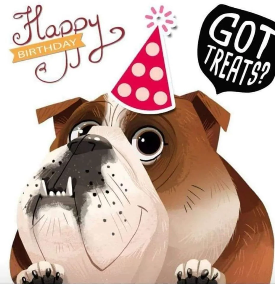 BullyBirthday11.webp