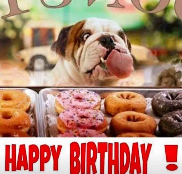 BullyBirthday19.webp