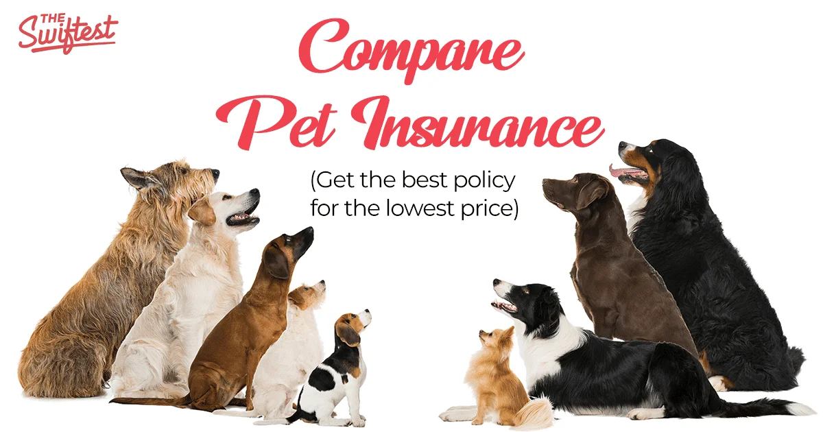 compare_pet_insurance_1.png