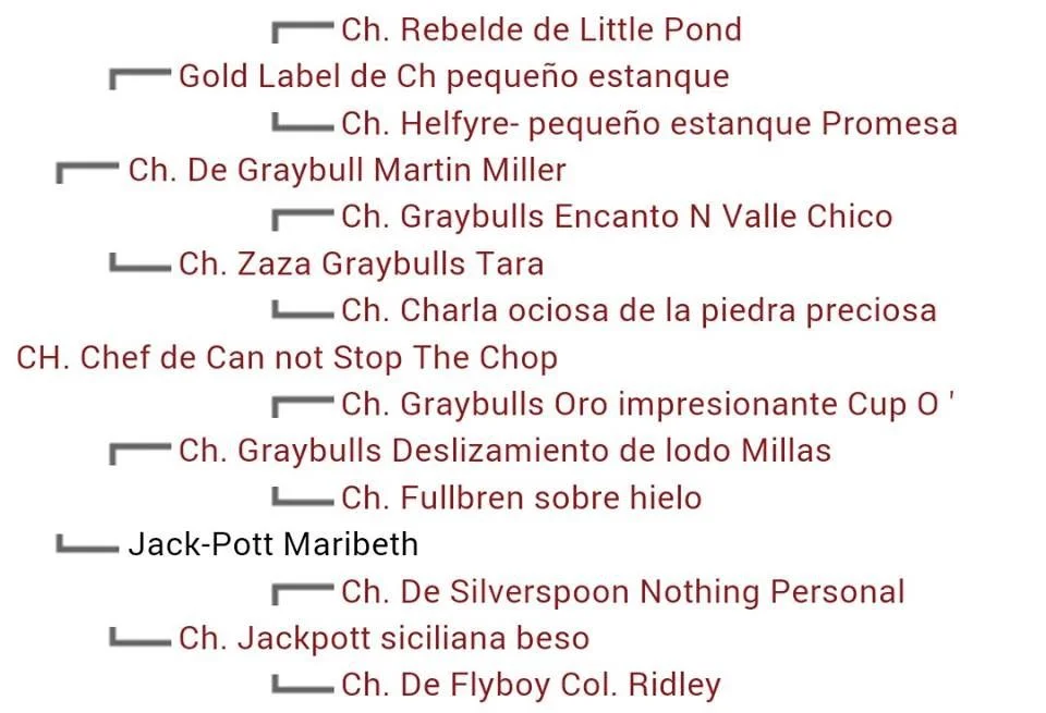 Dads Pedigree.webp