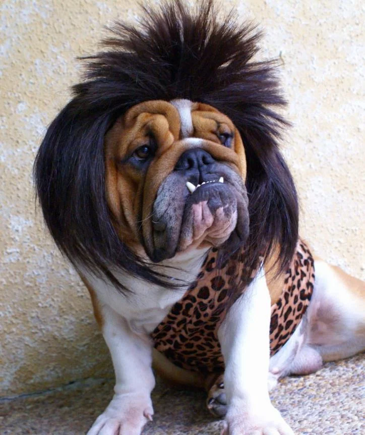 CAPTAIN CAVEMAN!