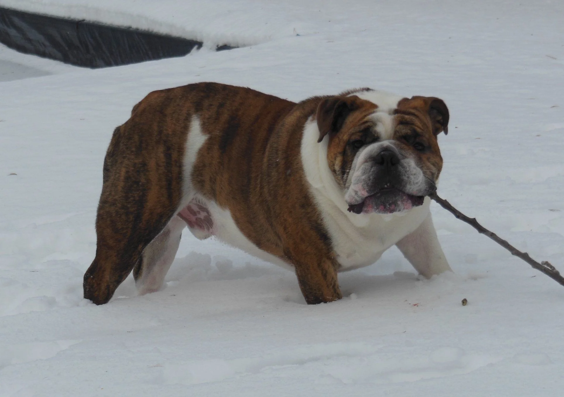 DSCN2672.webp