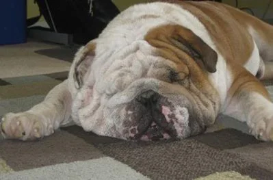 Rescue Poetry: Rescue Poem