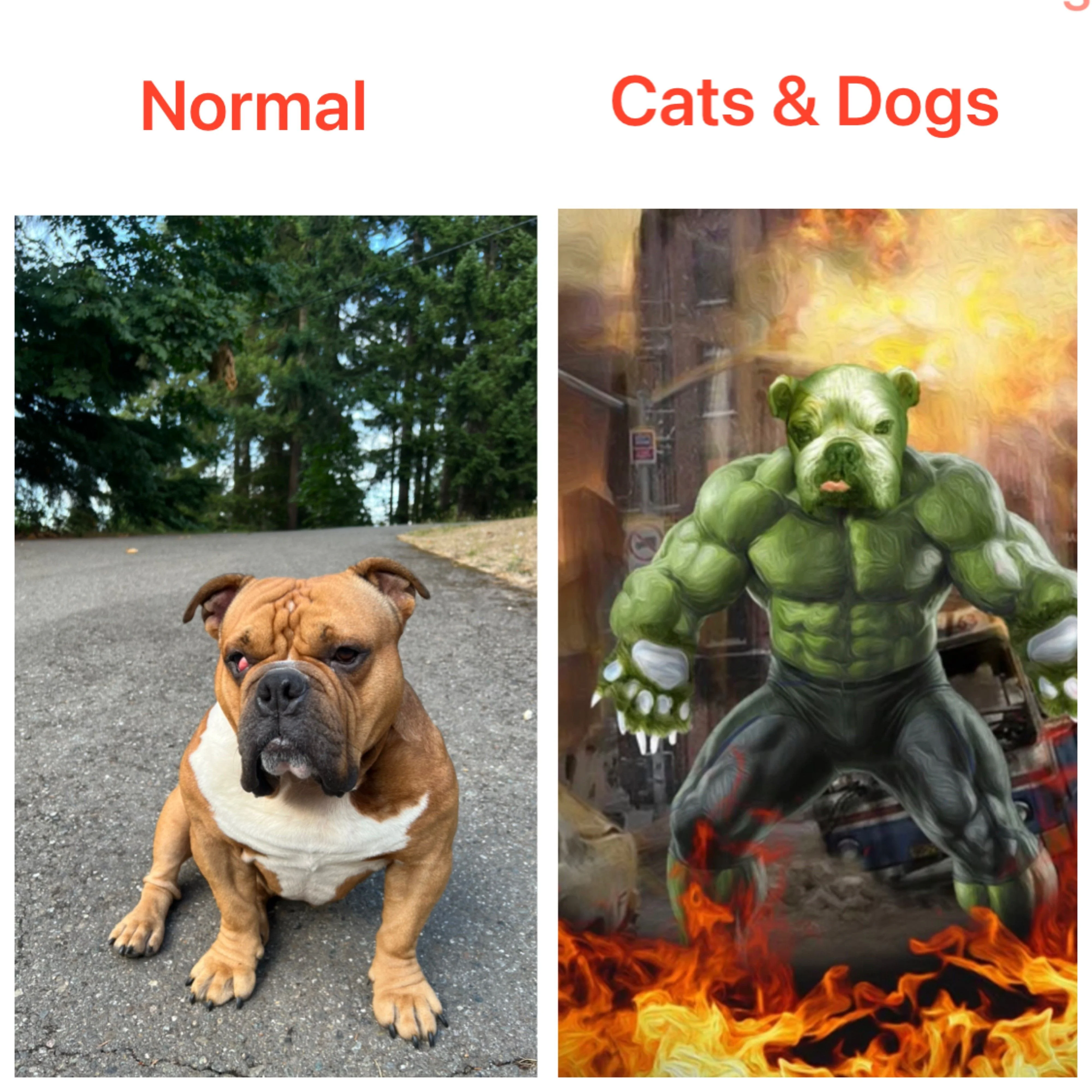 Hulk Gunny.webp