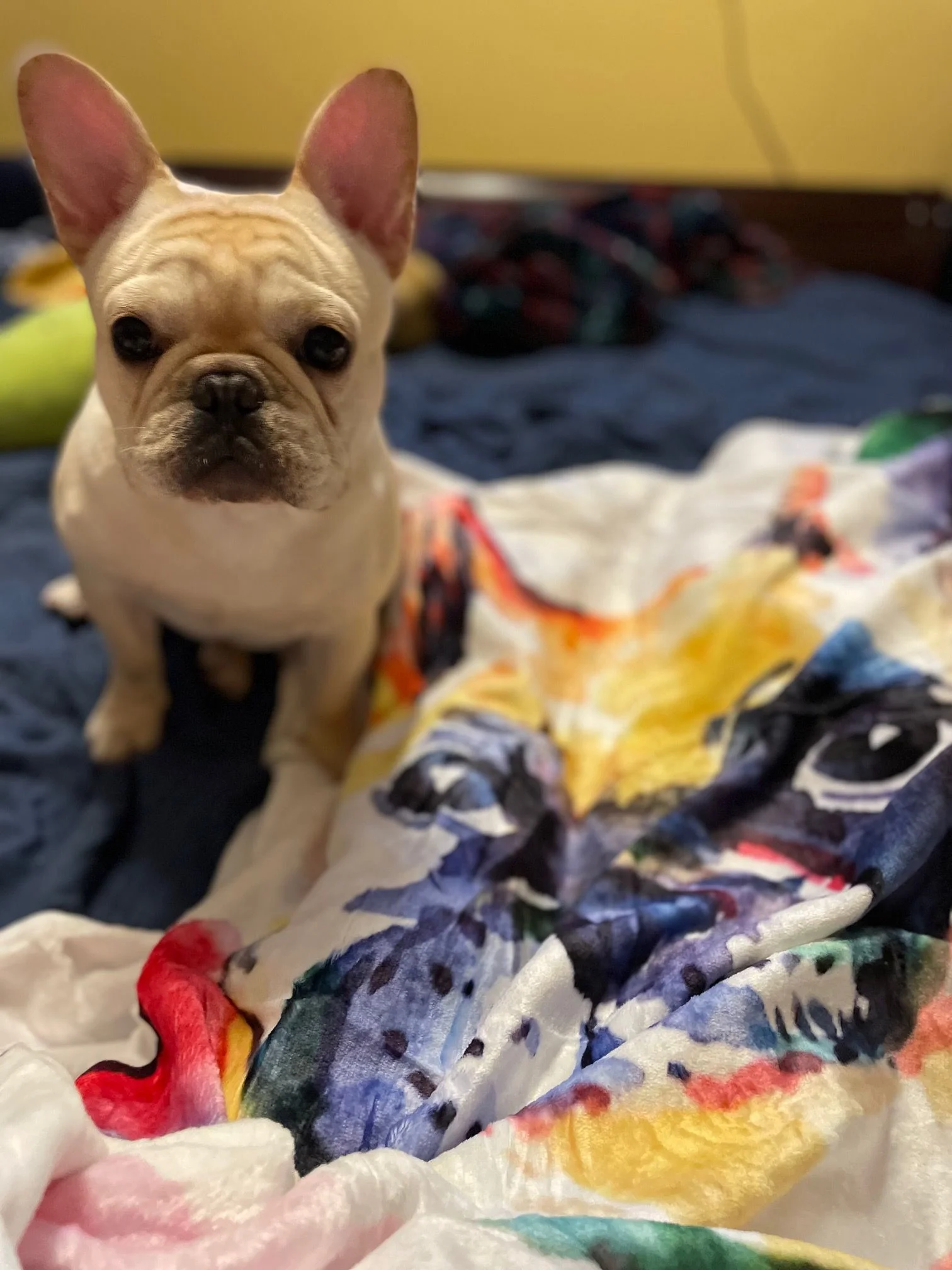 Ian with his xmas blanket.webp