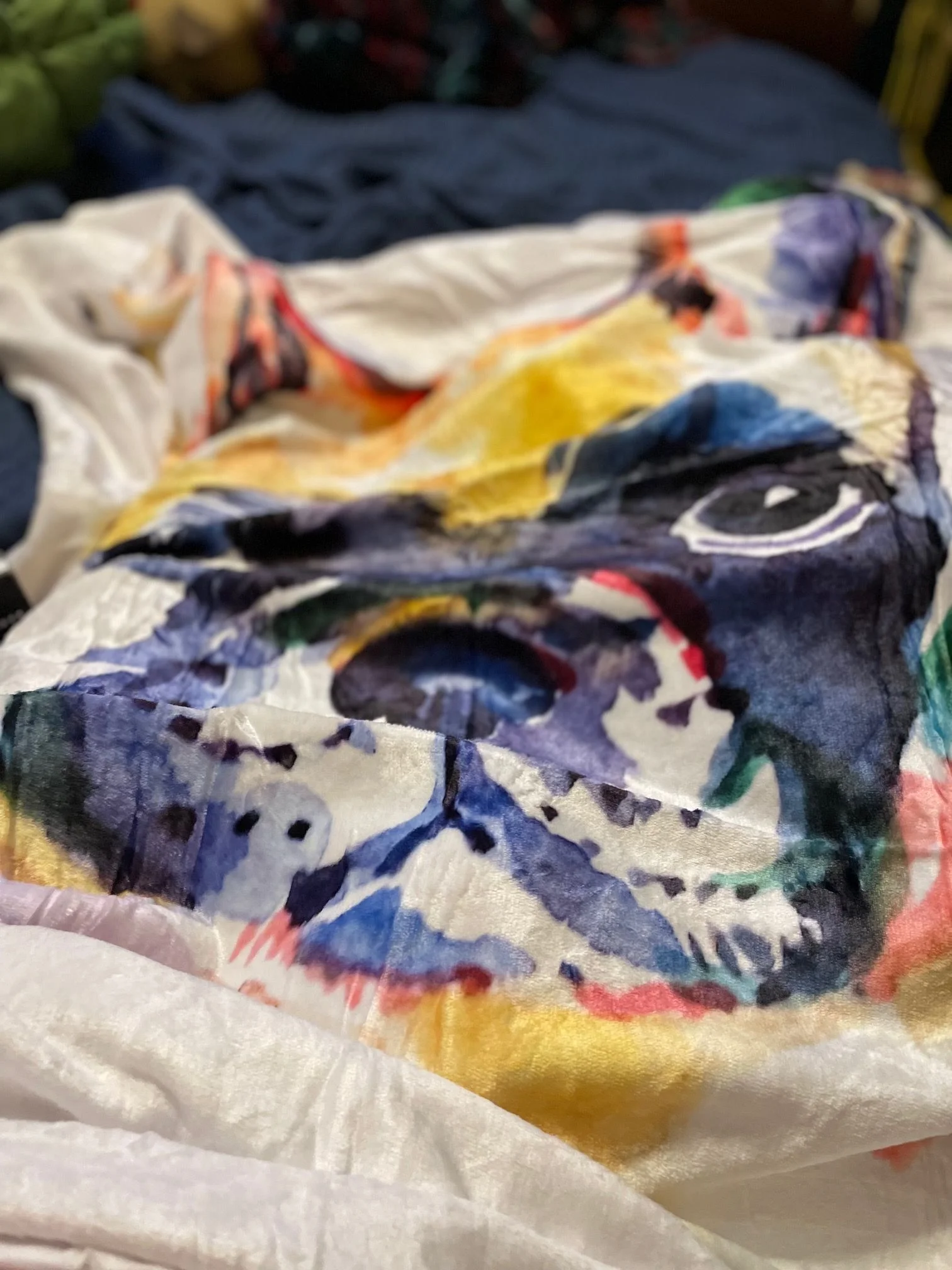 Ians first blanket.webp
