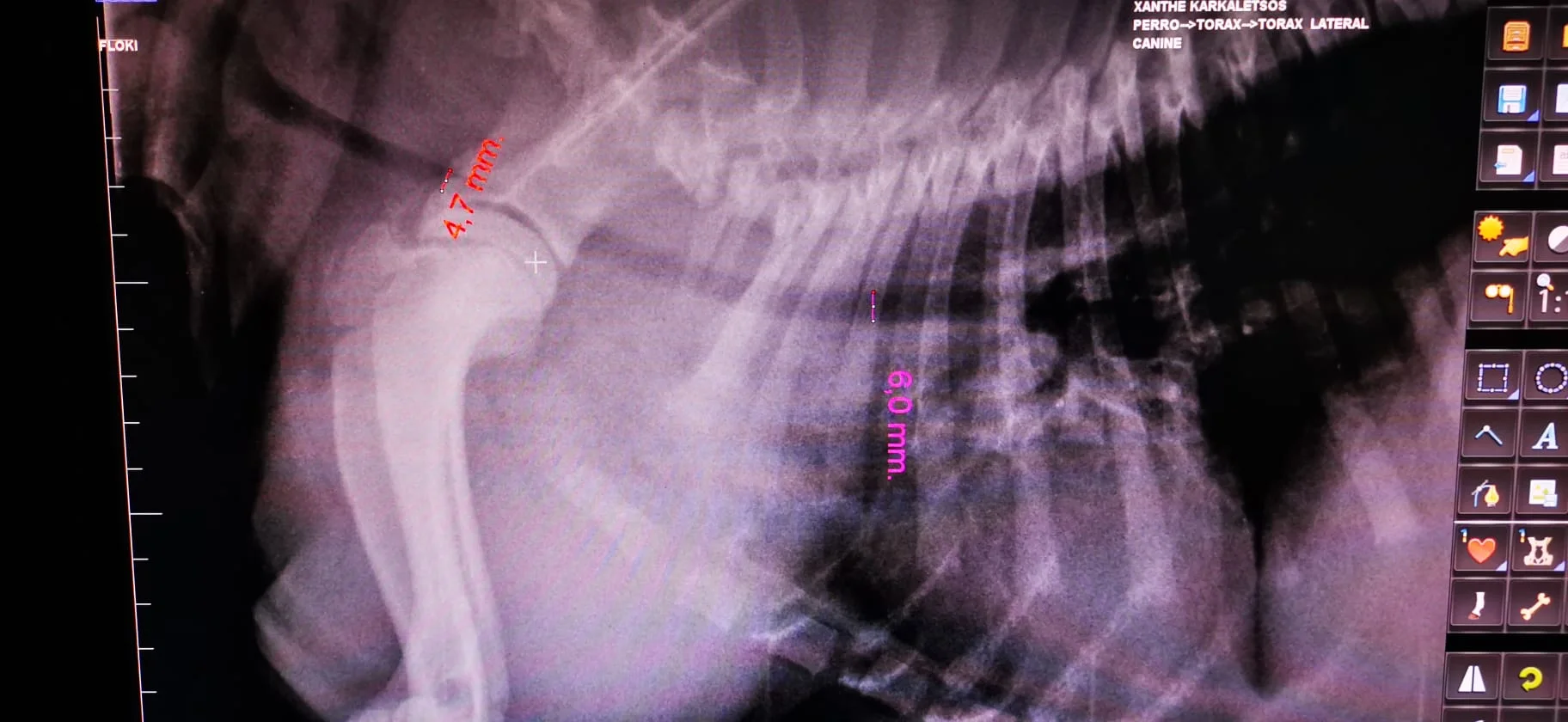 IMG-20211004-WA0005.webp