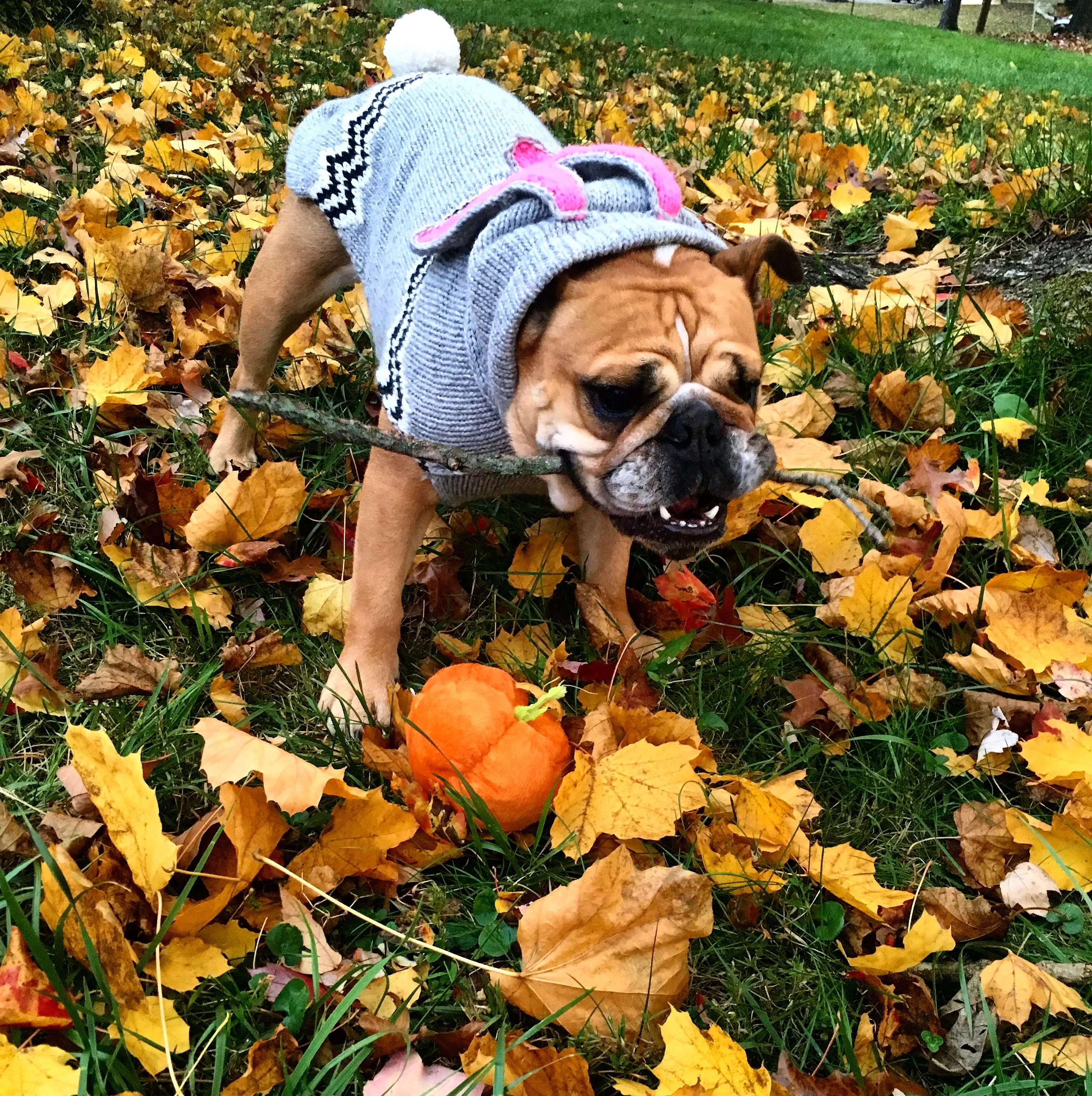 Sticks are the best part of the season