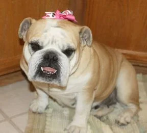 Molly After.jpeg