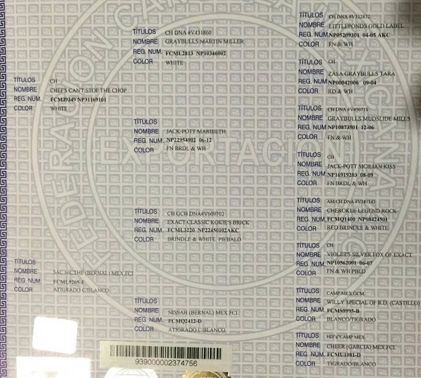 Pedigree 1.webp