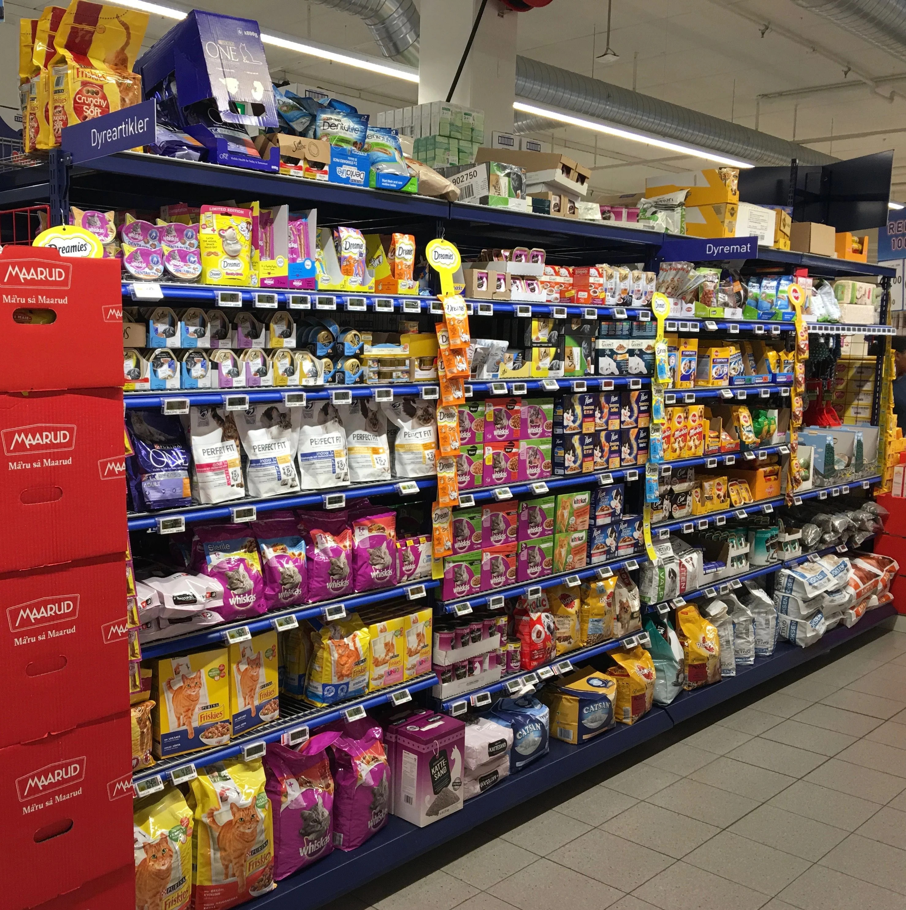 Our Top 5 Recommended Dog Food Choices