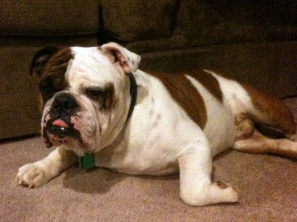 REX Inside 02 edited.jpg