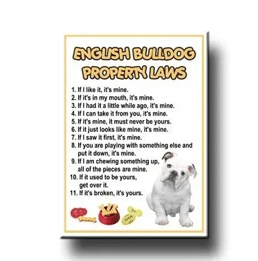 Poetry: English Bulldog Property Laws