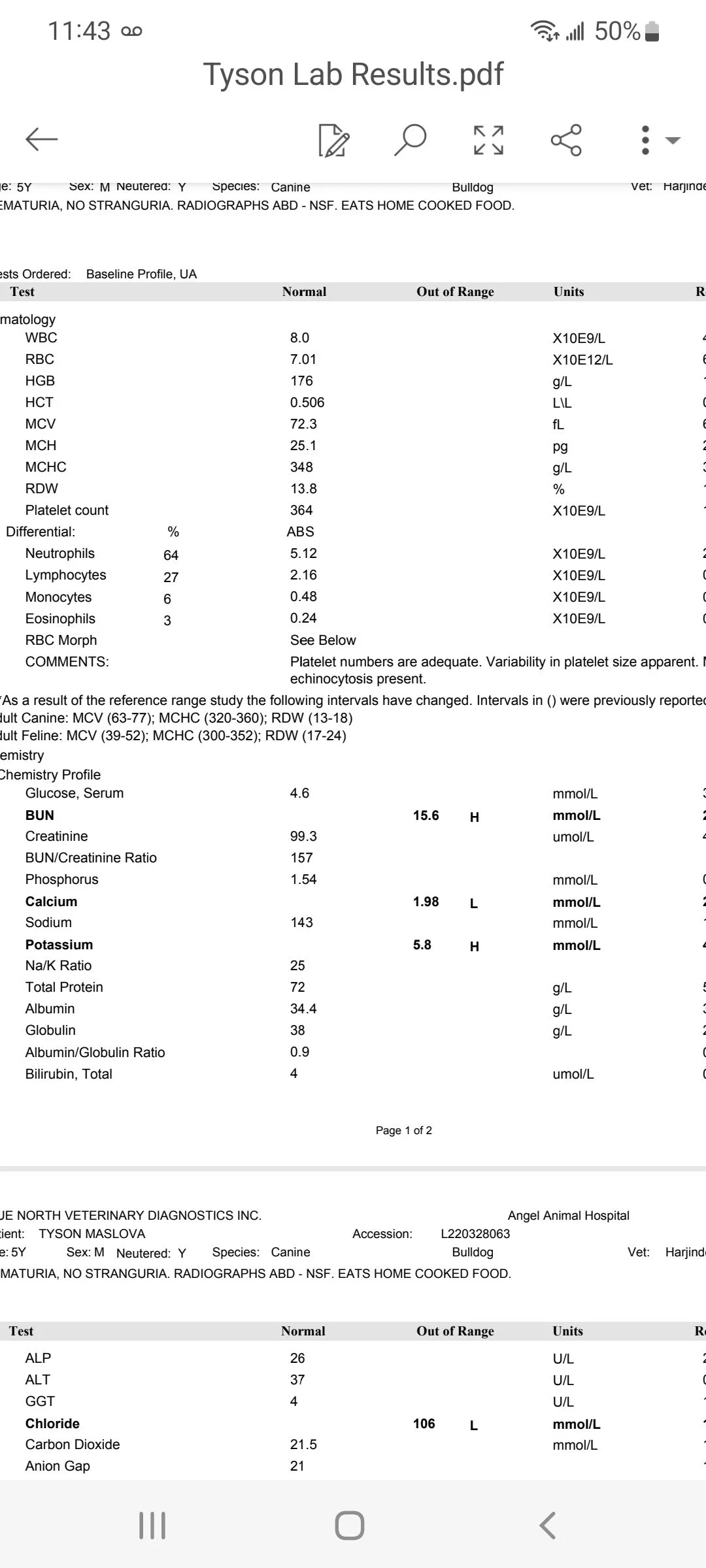 Screenshot_20220713-114343_Word.webp