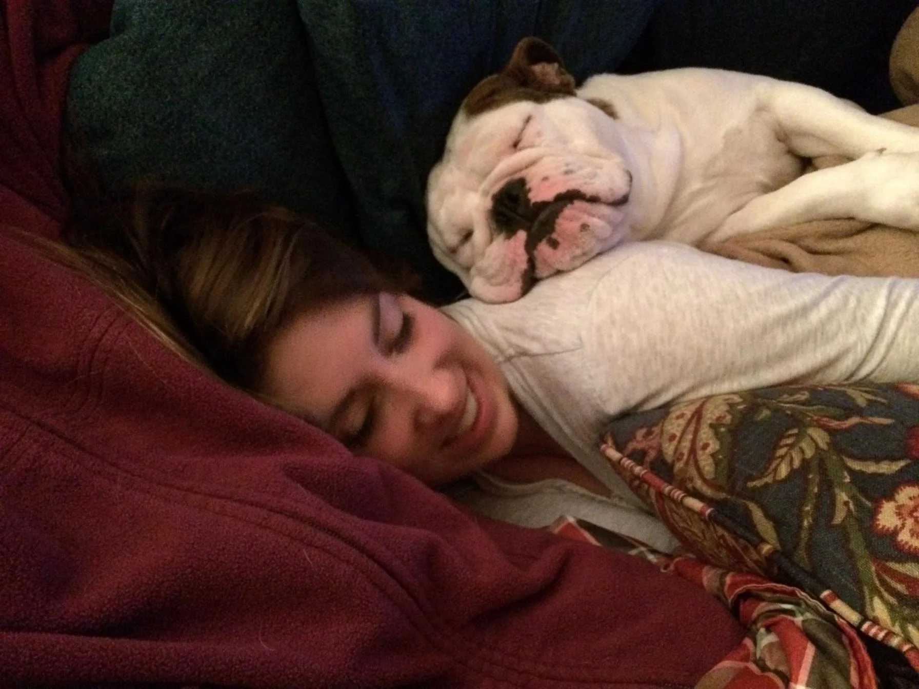 Maddie and Sherman LOVE - Maddie and Sherman on the sofa with me (on the left) on a quiet night after Christmas.