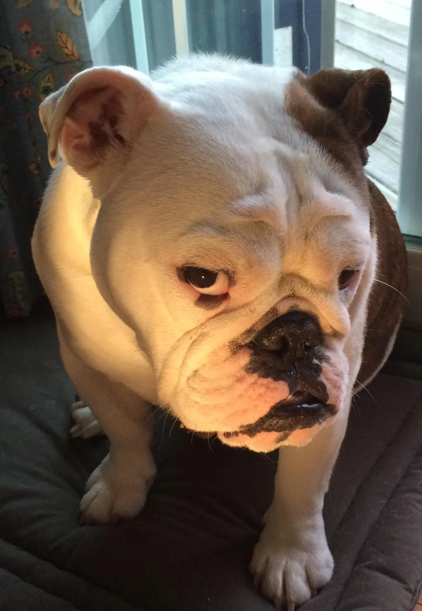 Sherman's best stink eye
