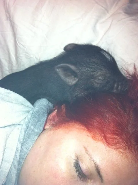 sleep.webp
