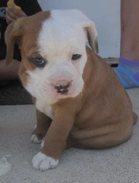 Stink Eye