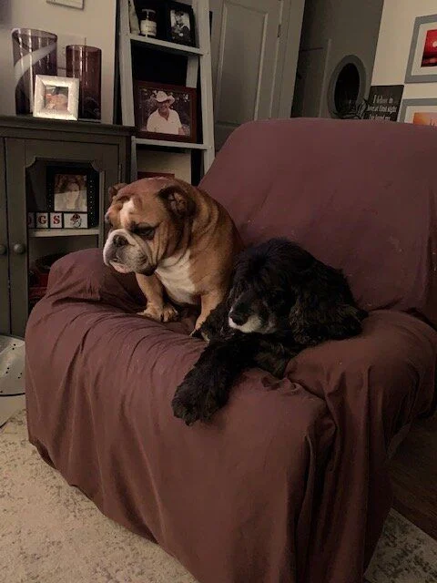 The boys.webp