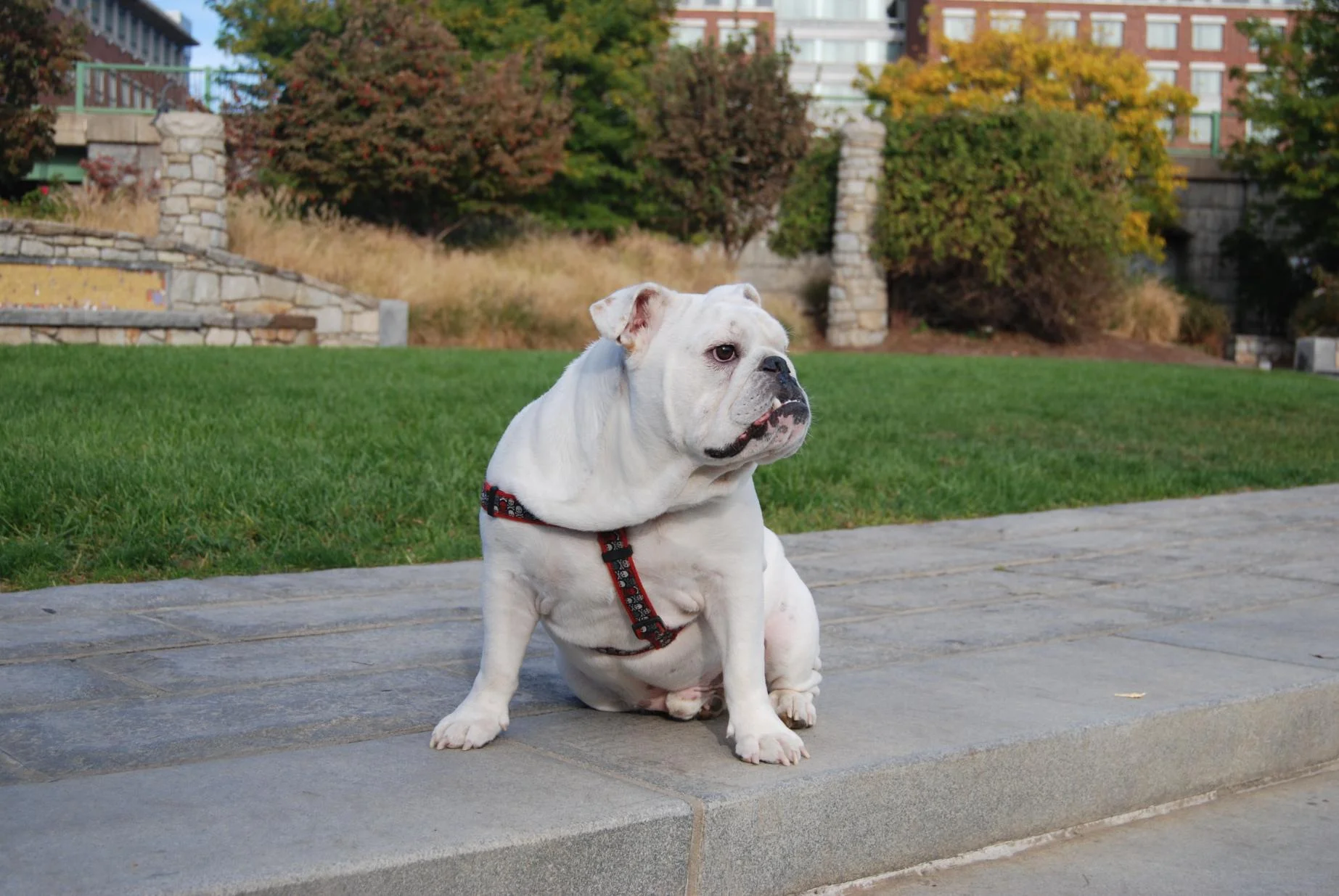 Wilson - Paul Revere Park - 10-14-13.webp