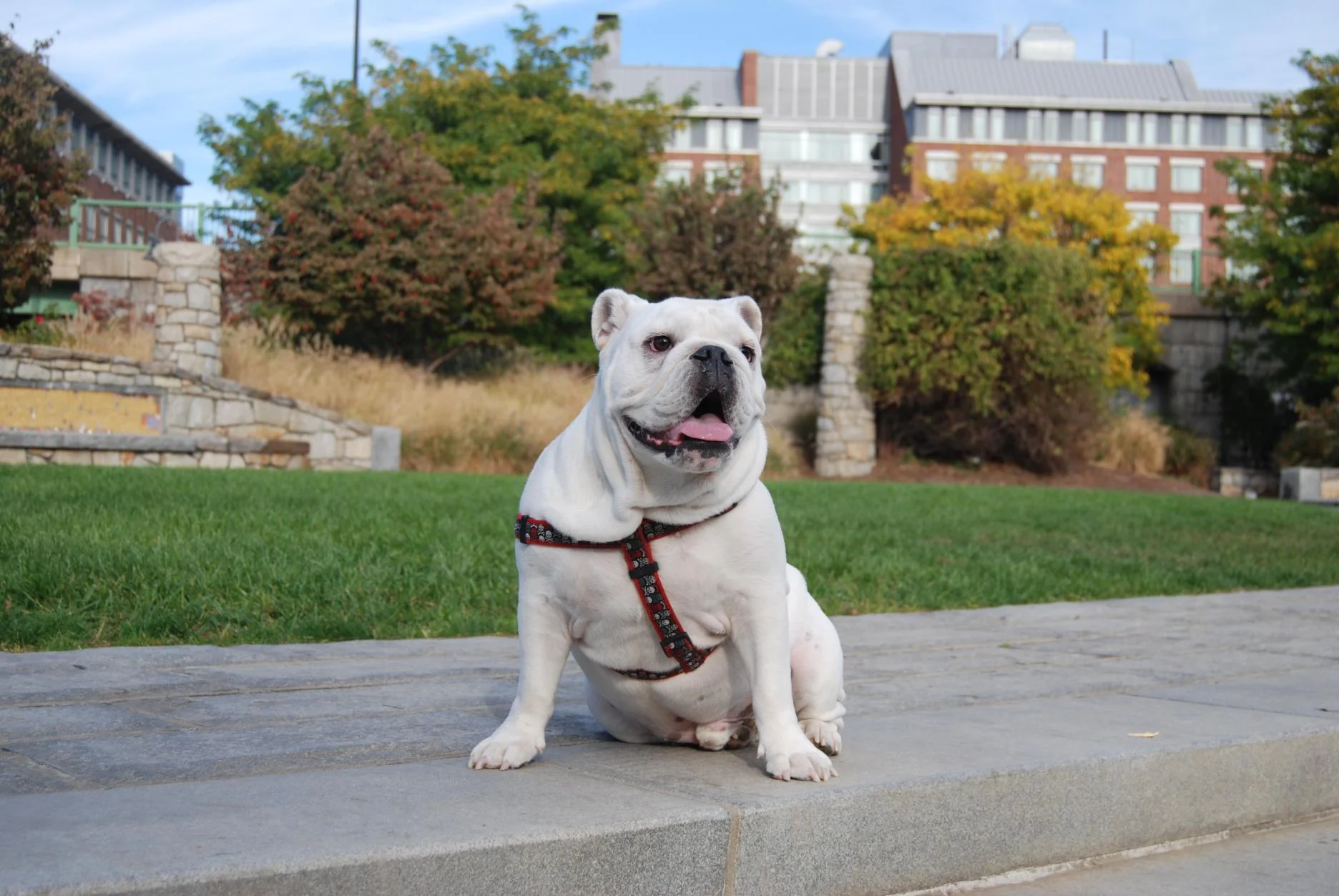 Wilson - Paul Revere Park 2 - 10-14-13.webp