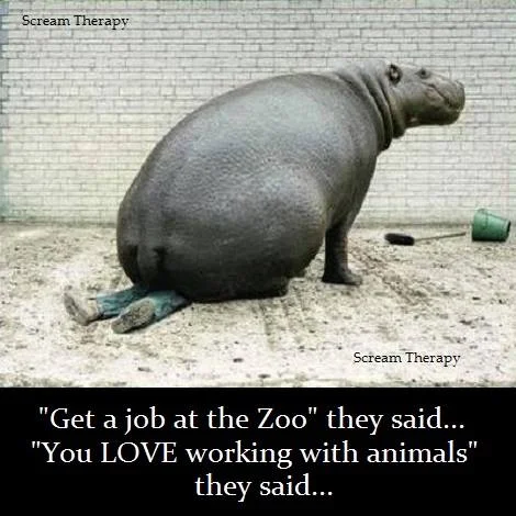 zoo.webp