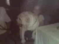 1201091722.webp