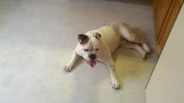 2011-09-08_11-30-02_360.webp